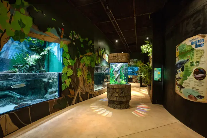 Mini-Profile-40Z-track-light-at-Cambodia-Angkor-Wildlife-Aquarium