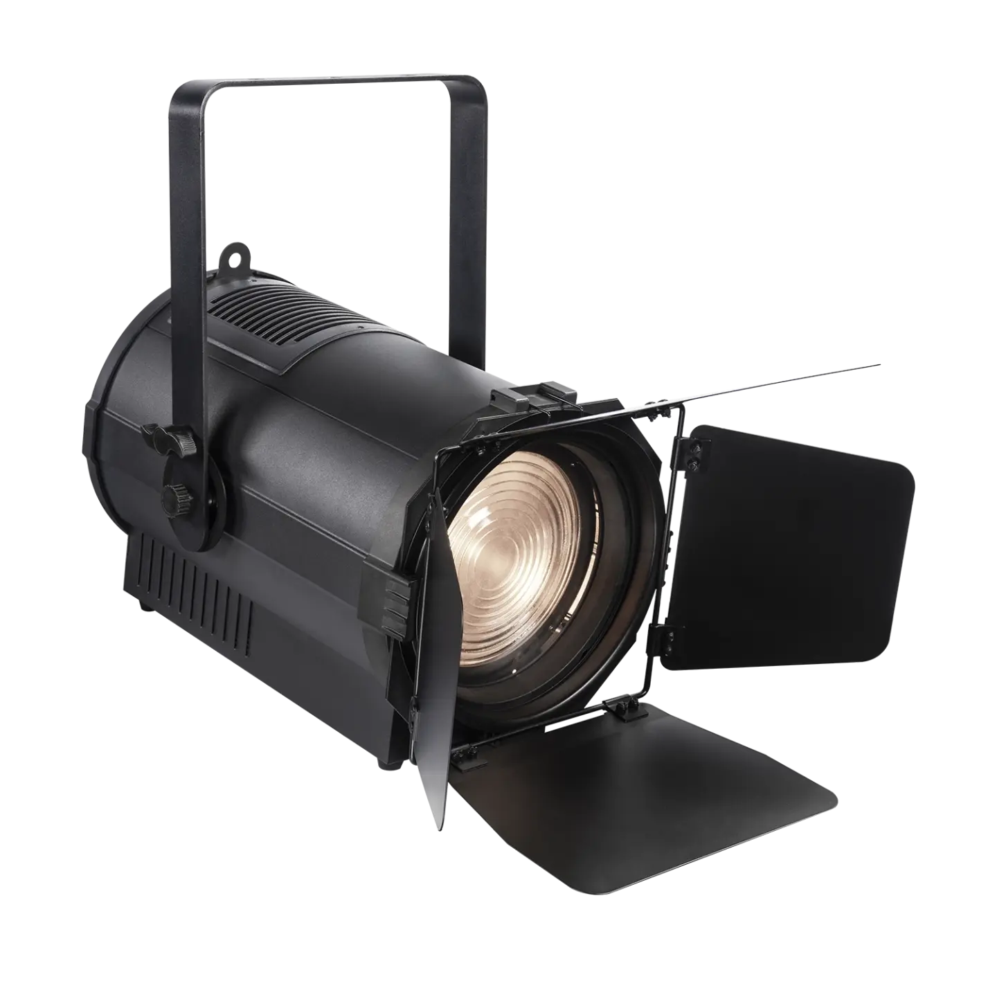 Pioneer 300 Zoom main view barndoor