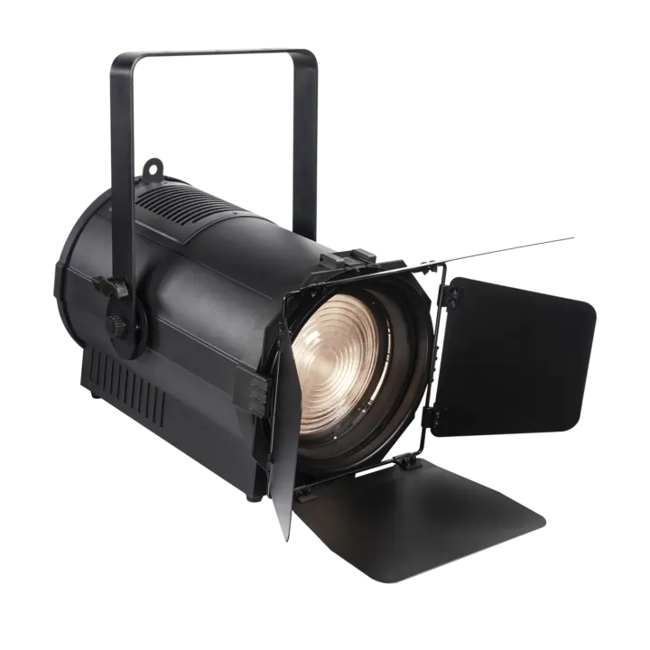 Pioneer 300 Zoom main view barndoor