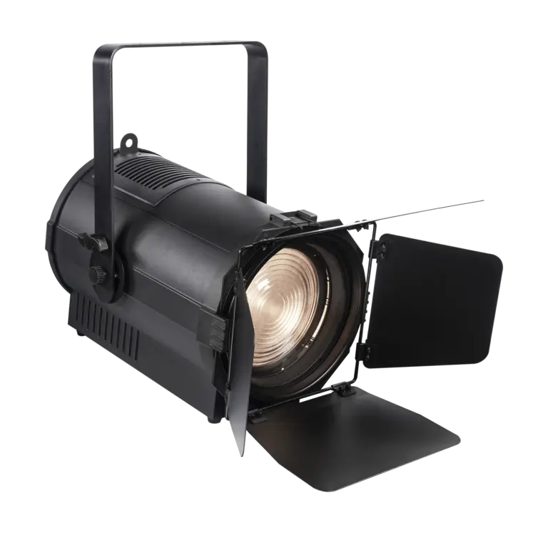 Pioneer 300 Zoom main view barndoor